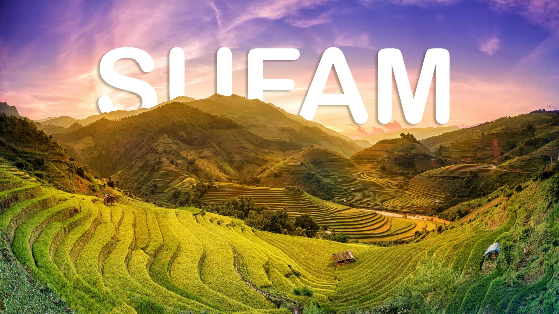 Chính sách bảo hành